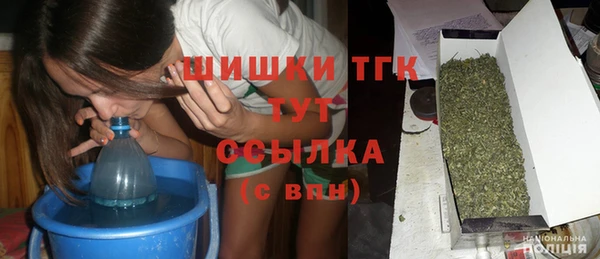 сатива Болохово