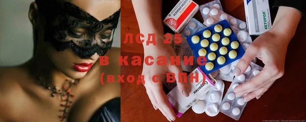 хмурый Белокуриха