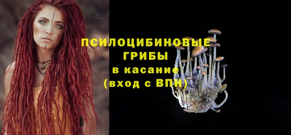 винт Богородицк