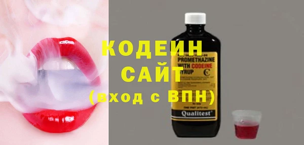 хмурый Белокуриха