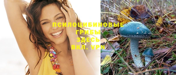 винт Богородицк