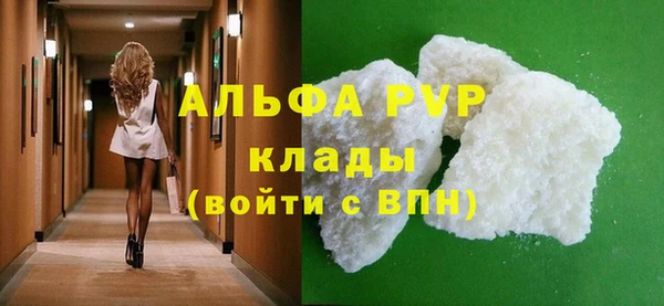 хмурый Белокуриха